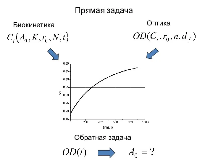 Биокинетика Оптика Прямая задача Обратная задача