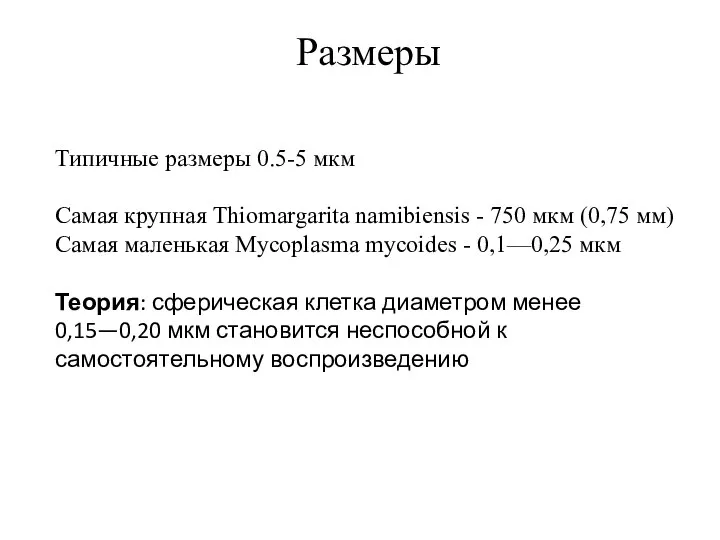 Типичные размеры 0.5-5 мкм Самая крупная Thiomargarita namibiensis - 750 мкм (0,75