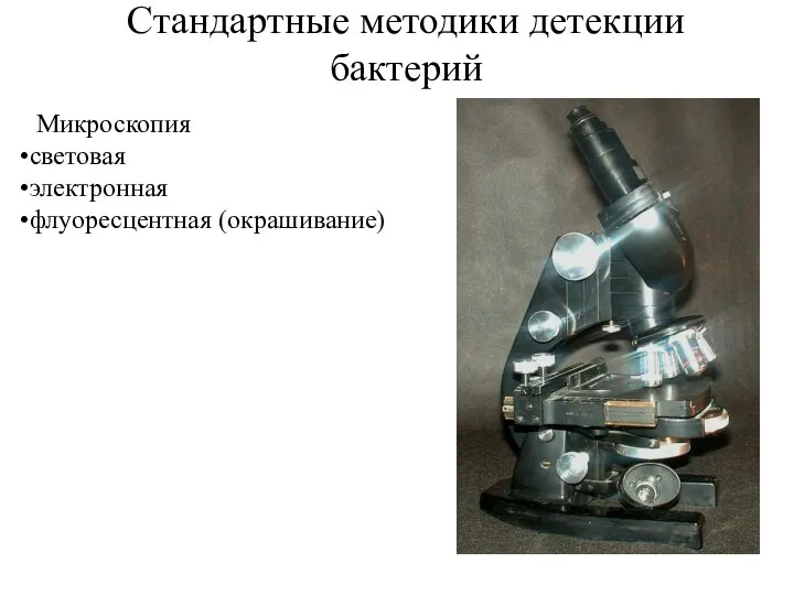 Стандартные методики детекции бактерий Микроскопия световая электронная флуоресцентная (окрашивание)