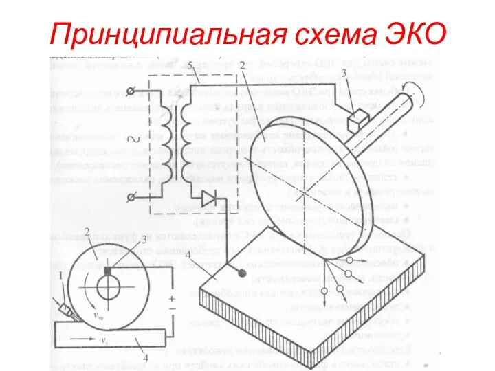 Принципиальная схема ЭКО