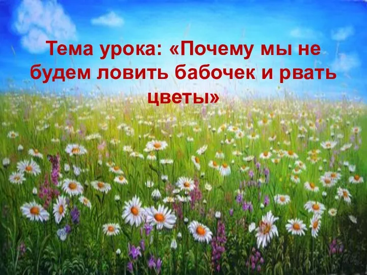 Тема урока: «Почему мы не будем ловить бабочек и рвать цветы»