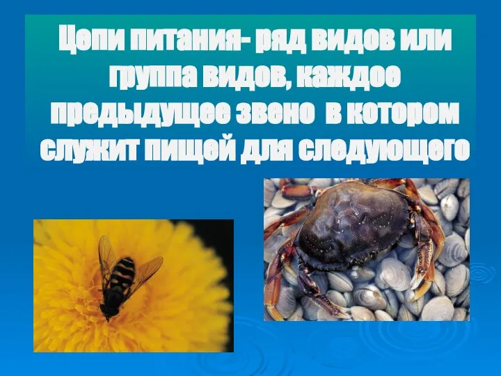 Цепи питания- ряд видов или группа видов, каждое предыдущее звено в котором служит пищей для следующего