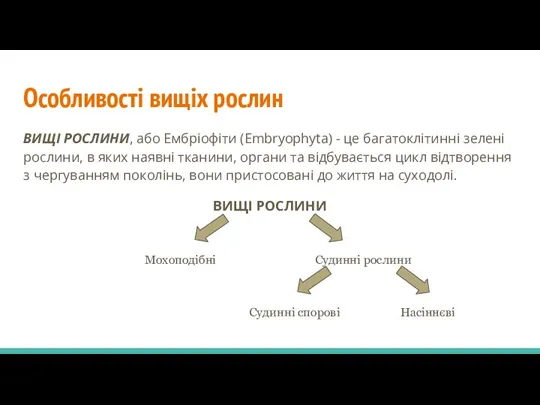 Особливості вищіх рослин ВИЩІ РОСЛИНИ, або Ембріофіти (Embryophyta) - це багатоклітинні зелені