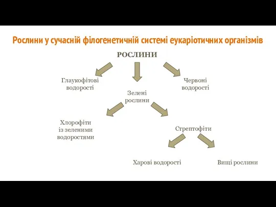 Рослини у сучасній філогенетичній системі еукаріотичних організмів РОСЛИНИ Глаукофітові водорості Червоні водорості