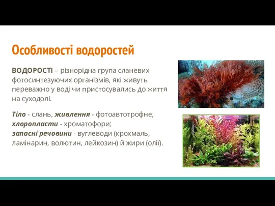 Особливості водоростей ВОДОРОСТІ – різнорідна група сланевих фотосинтезуючих організмів, які живуть переважно