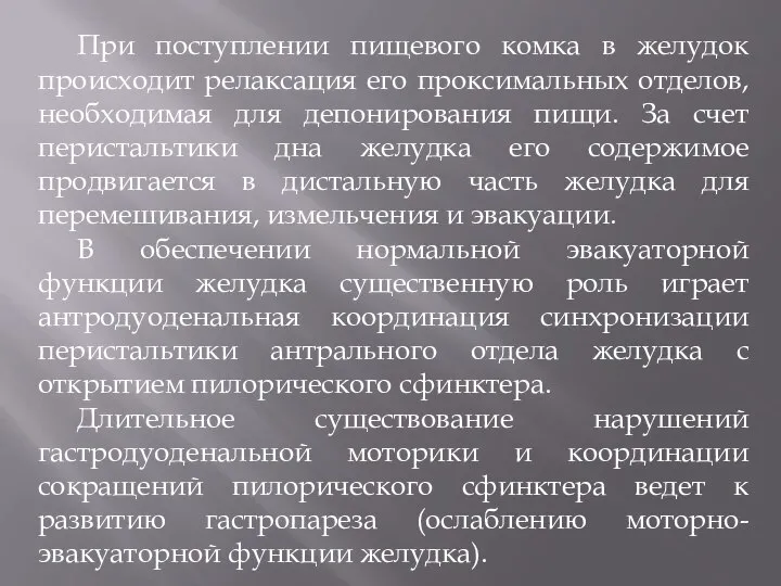 При поступлении пищевого комка в желудок происходит релаксация его проксимальных отделов, необходимая