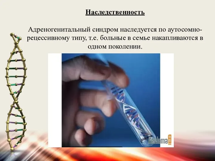 Наследственность Адреногенитальный синдром наследуется по аутосомно-рецессивному типу, т.е. больные в семье накапливаются в одном поколении.