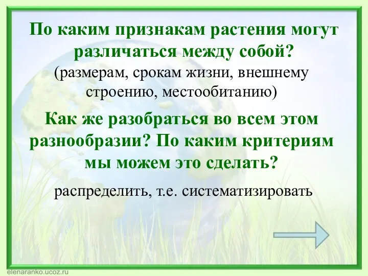 По каким признакам растения могут различаться между собой? (размерам, срокам жизни, внешнему