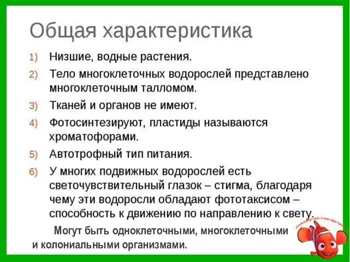 Низшие растения 7) Могут быть одноклеточными, многоклеточными и колониальными организмами.