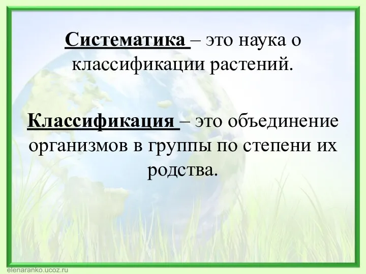 Систематика – это наука о классификации растений. Классификация – это объединение организмов