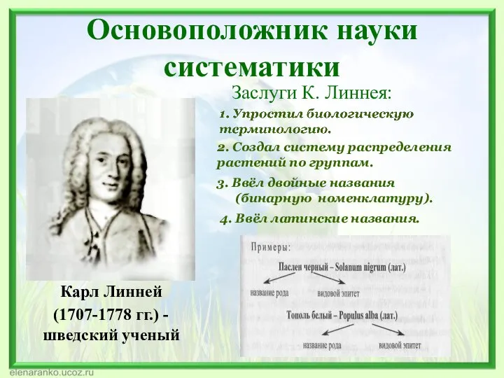Основоположник науки систематики Заслуги К. Линнея: Карл Линней (1707-1778 гг.) - шведский