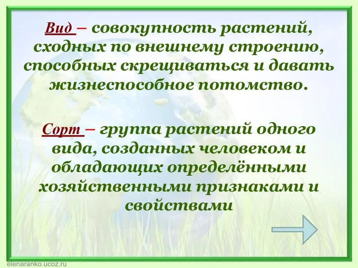 Вид – совокупность растений, сходных по внешнему строению, способных скрещиваться и давать