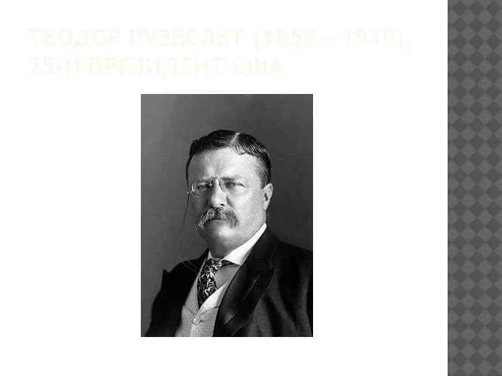ТЕОДОР РУЗВЕЛЬТ (1858 – 1919), 25-Й ПРЕЗИДЕНТ США
