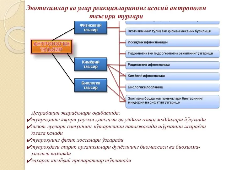 Экотизимлар ва улар реакцияларининг асосий антропоген таъсири турлари Деградация жараёнлари оқибатида: тупроқнинг