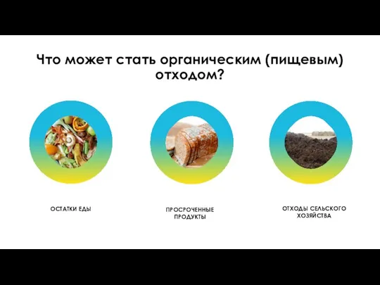 Что может стать органическим (пищевым) отходом? ОСТАТКИ ЕДЫ ПРОСРОЧЕННЫЕ ПРОДУКТЫ ОТХОДЫ СЕЛЬСКОГО ХОЗЯЙСТВА