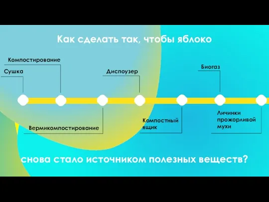 Как сделать так, чтобы яблоко снова стало источником полезных веществ?