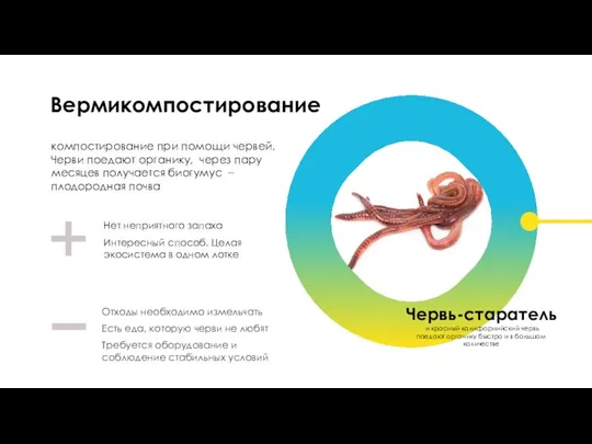 Вермикомпостирование Червь-старатель и красный калифорнийский червь поедают органику быстро и в большом