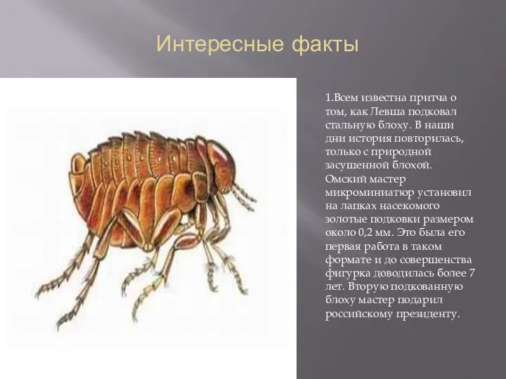 Интересные факты 1.Всем известна притча о том, как Левша подковал стальную блоху.