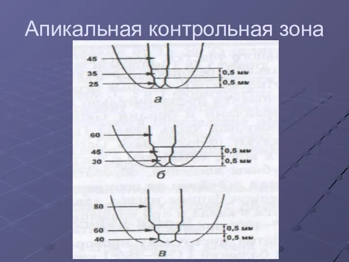 Апикальная контрольная зона