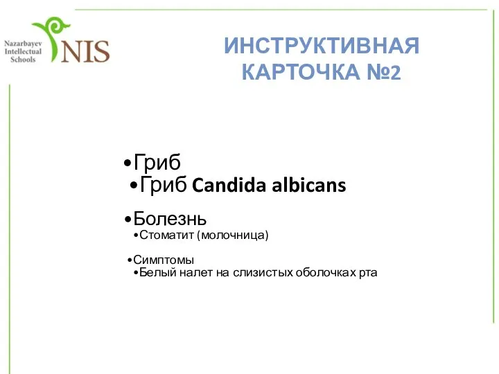 Гриб Гриб Candida albicans Болезнь Стоматит (молочница) Симптомы Белый налет на слизистых