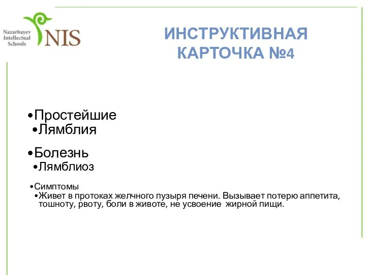 Простейшие Лямблия Болезнь Лямблиоз Симптомы Живет в протоках желчного пузыря печени. Вызывает