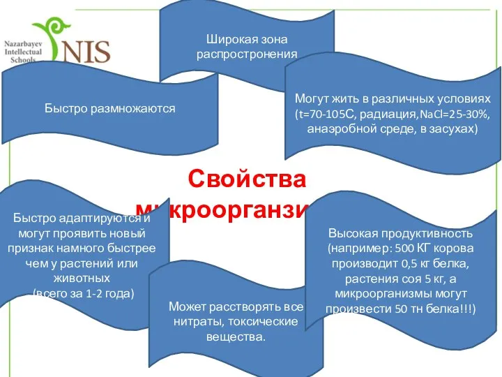 Свойства микроорганзимов Широкая зона распростронения Быстро адаптируются и могут проявить новый признак