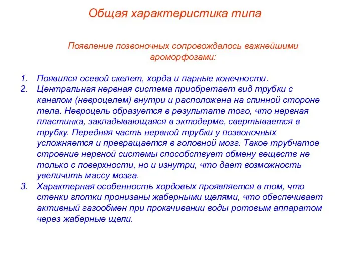 Общая характеристика типа Появление позвоночных сопровождалось важнейшими ароморфозами: Появился осевой скелет, хорда