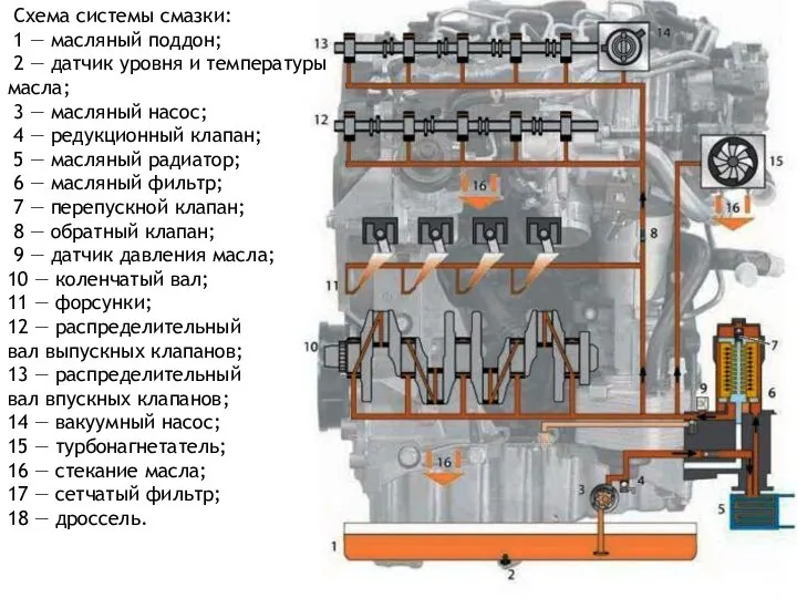 Схема системы смазки: 1 — масляный поддон; 2 — датчик уровня и