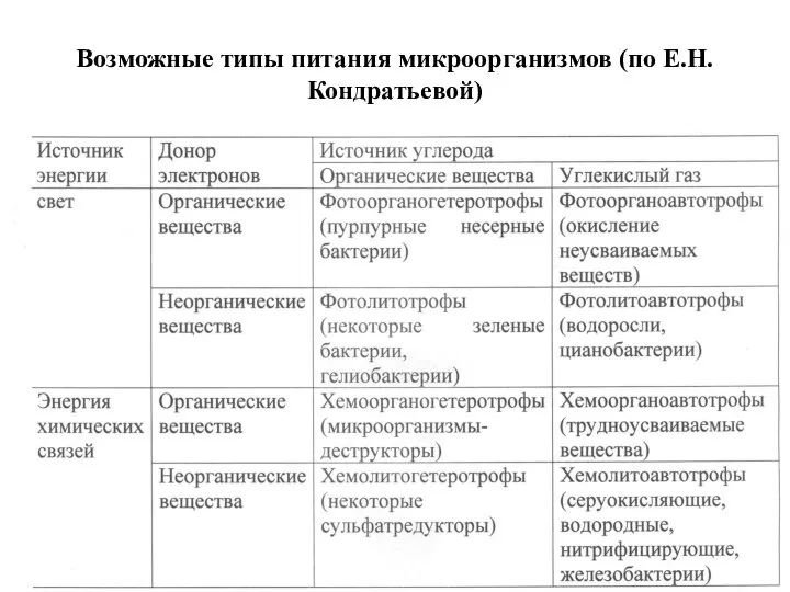 Возможные типы питания микроорганизмов (по Е.Н. Кондратьевой)