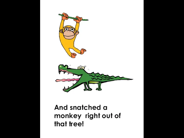 And snatched a monkey right out of that tree!
