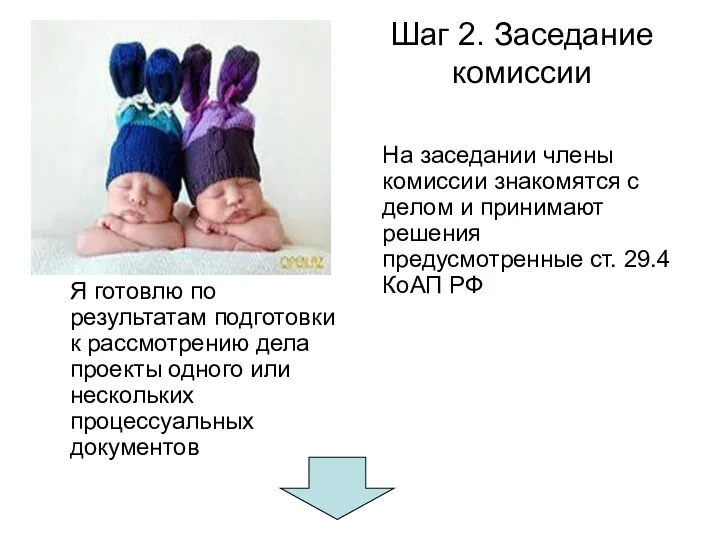 Шаг 2. Заседание комиссии Я готовлю по результатам подготовки к рассмотрению дела