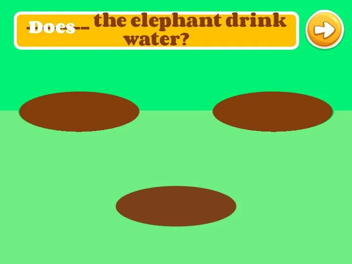 _______ the elephant drink water? Does