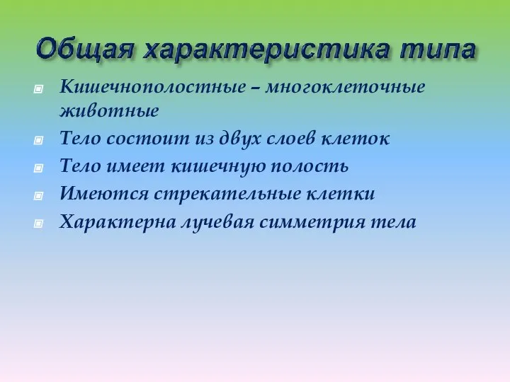 Кишечнополостные – многоклеточные животные Тело состоит из двух слоев клеток Тело имеет