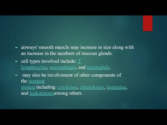 airways' smooth muscle may increase in size along with an increase in