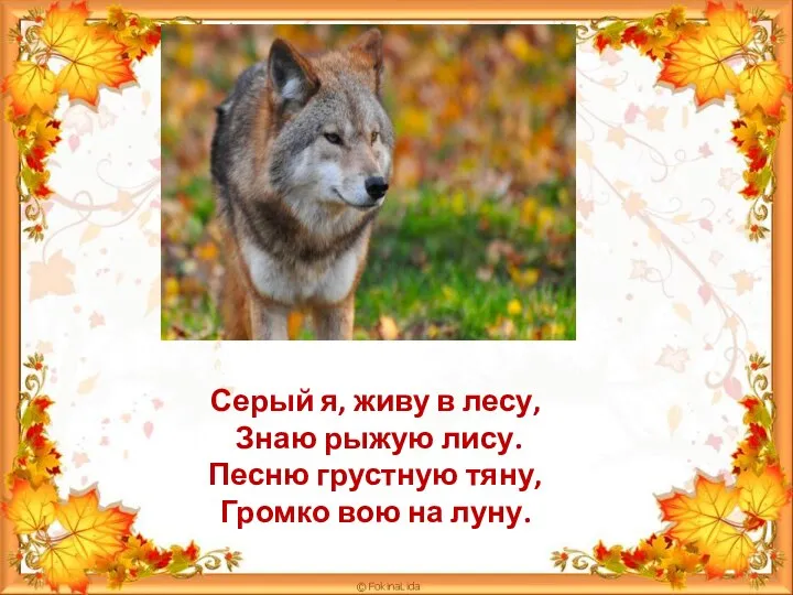 Серый я, живу в лесу, Знаю рыжую лису. Песню грустную тяну, Громко вою на луну.