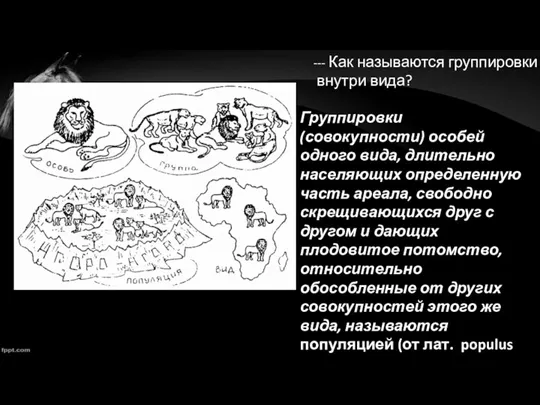 --- Как называются группировки внутри вида? Группировки (совокупности) особей одного вида, длительно