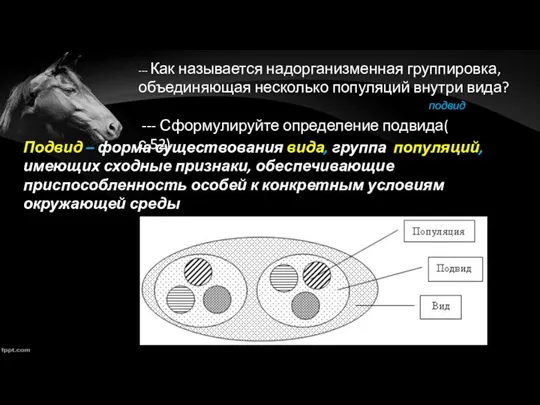 --- Как называется надорганизменная группировка, объединяющая несколько популяций внутри вида? подвид ---