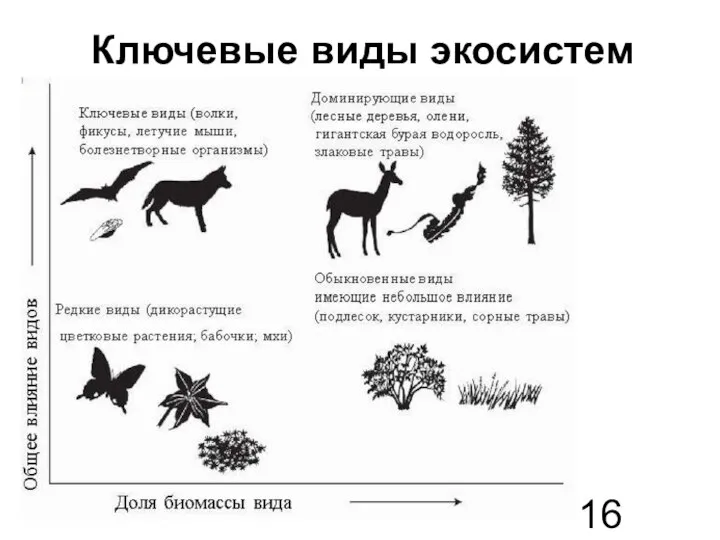 Ключевые виды экосистем