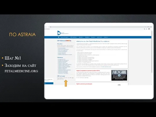 ПО ASTRAIA Шаг №1 Заходим на сайт fetalmedicine.org