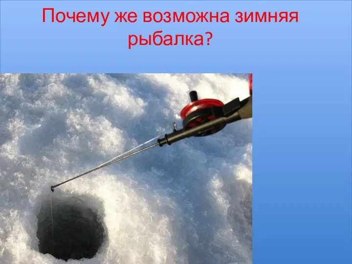 Почему же возможна зимняя рыбалка?