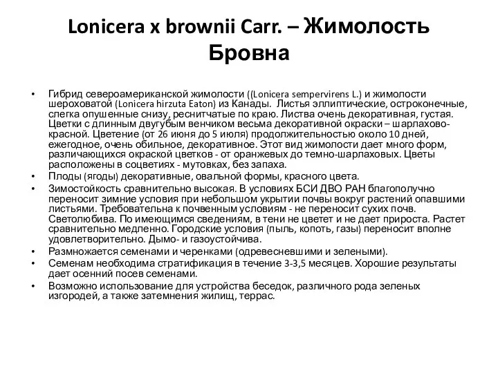 Lonicera x brownii Carr. – Жимолость Бровна Гибрид североамериканской жимолости ((Lonicera sempervirens