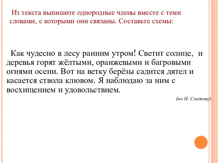 Как чудесно в лесу ранним утром! Светит солнце, и деревья горят жёлтыми,