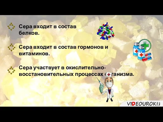 Сера входит в состав белков. Сера входит в состав гормонов и витаминов.