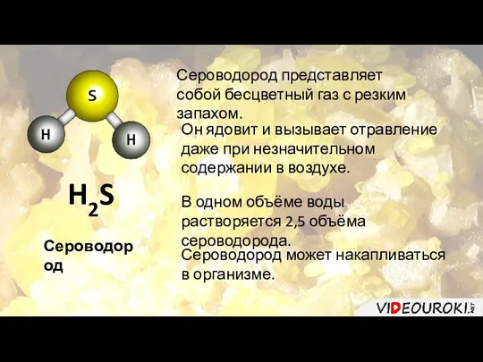 H2S Сероводород Сероводород представляет собой бесцветный газ с резким запахом. Он ядовит