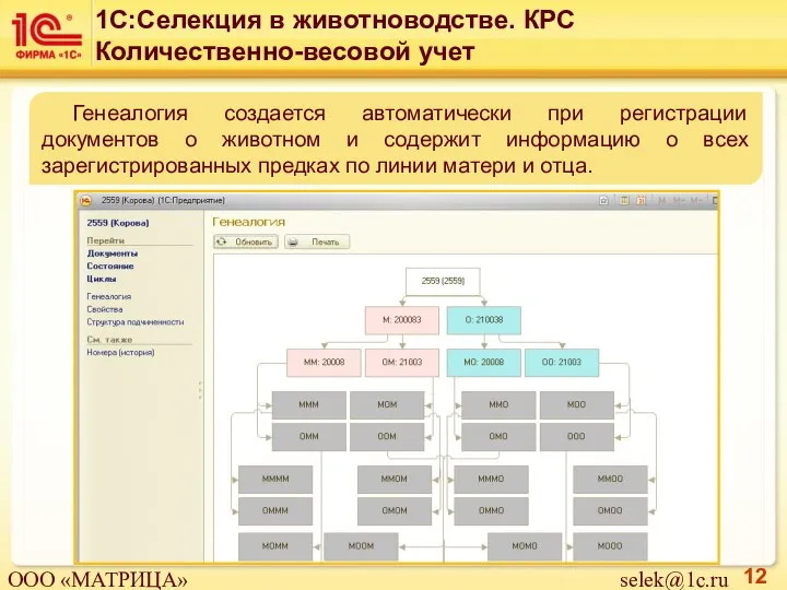 Генеалогия создается автоматически при регистрации документов о животном и содержит информацию о