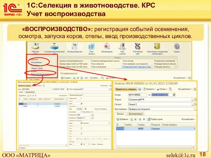 «ВОСПРОИЗВОДСТВО»: регистрация событий осеменения, осмотра, запуска коров, отелы, ввод производственных циклов. 1С:Селекция