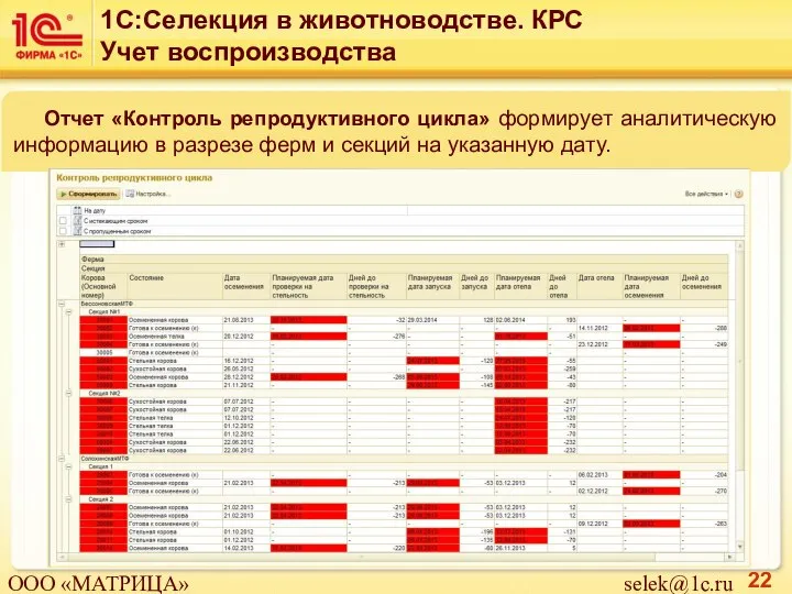 Отчет «Контроль репродуктивного цикла» формирует аналитическую информацию в разрезе ферм и секций