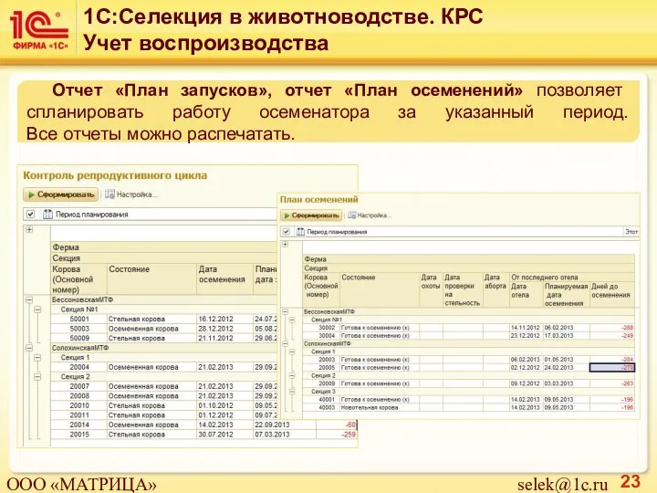 Отчет «План запусков», отчет «План осеменений» позволяет спланировать работу осеменатора за указанный