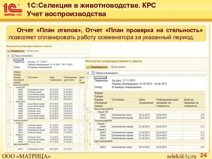 Отчет «План отелов», Отчет «План проверка на стельность» позволяет спланировать работу осеменатора