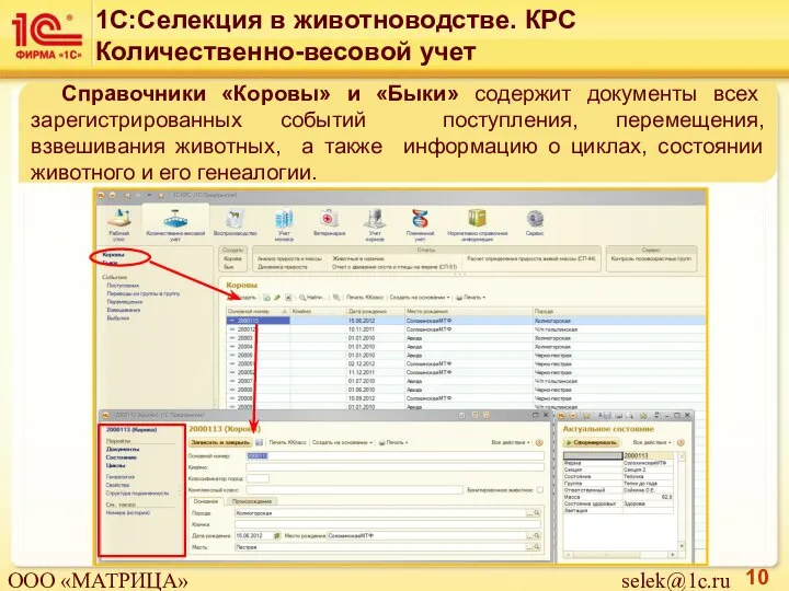 Справочники «Коровы» и «Быки» содержит документы всех зарегистрированных событий поступления, перемещения, взвешивания